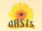 Mossautal: OASIS - Schönheit & Entspannung